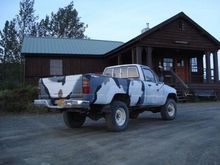 Roland, one year after the paint ‘job’ a bit lighter , post spring rehab 