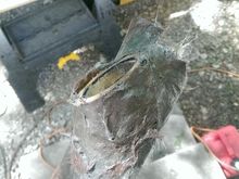 held the ring at the angle I wanted and used gloves to "sculpt the Bondo hair into place