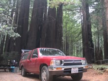 Camping in the Humboldt Redwoods. Truck had just rolled 30k on the odometer that day.