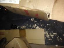 mice damage to boxes left in the cargo area
