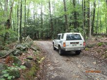 stopped next to an old cellar hole