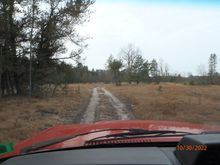 this is the kind of road i've been wanting to explore