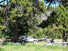 There were no signs of other trucks up here, just motor bikes and this quad. I love the alpine meadows and am grateful for my 4 wheeled friend that got me here!