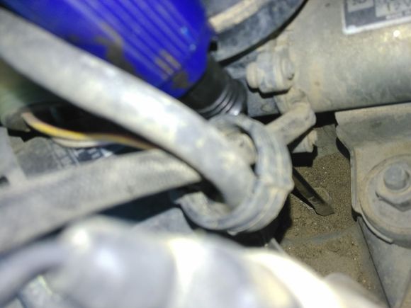 Bolt at the end of the screw driver. Buried in mud