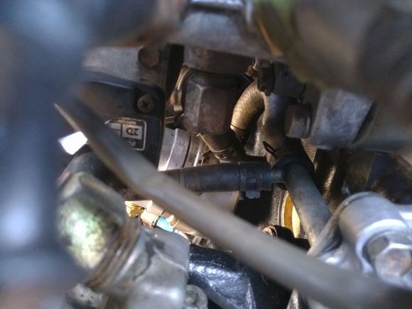 Oil cooler, forward hose to elbow, rear hose to pump output.