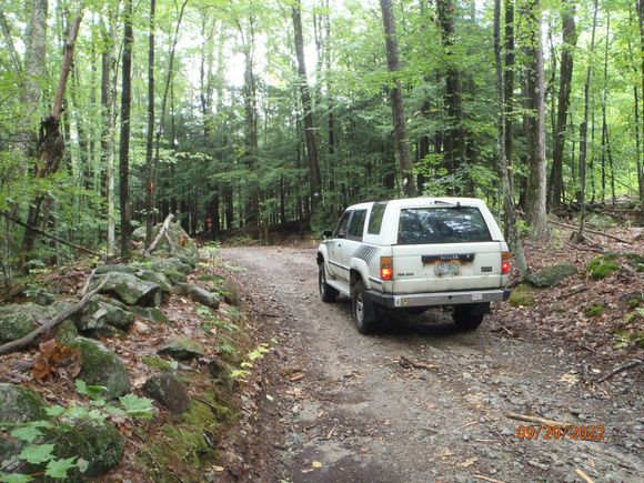 stopped next to an old cellar hole