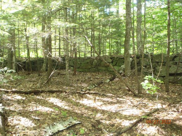 massive barn foundation just down the road from the cellar hole