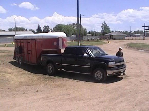 Haulin horses