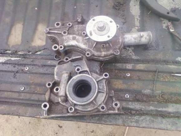 Timing Chain Cover Before