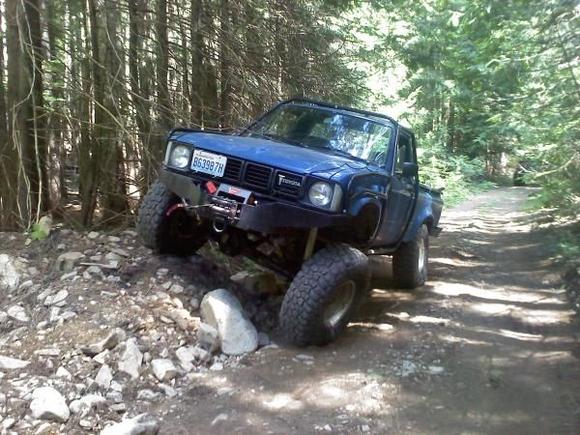 flexy