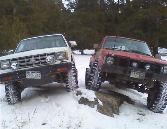 sexy beasts