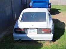 Pretty rear.