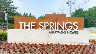 The Springs Apartments - Novi, MI