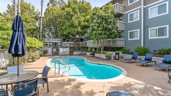 Regency Plaza Apartments - Martinez, CA