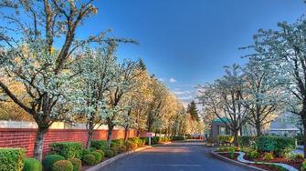 Regency Apartments - Vancouver, WA