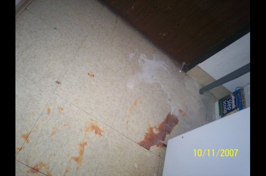 Northridge Meadows 40 Reviews Northville Mi Apartments For Rent Image Of Northridge Meadows In Northville Mi
