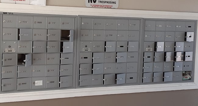 Daily view of broken into mailboxes