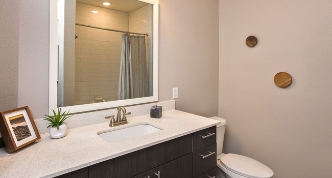 Linden Audubon Park - 39 Reviews | Orlando, FL Apartments for Rent