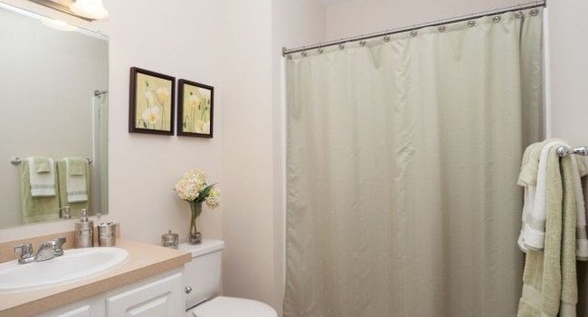 Union Place 217 Reviews Franklin Ma Apartments For Rent