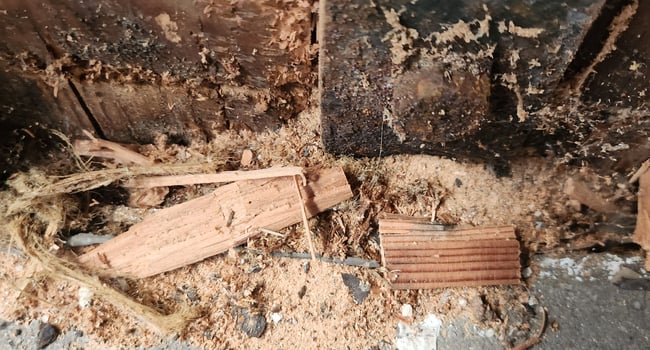 Termite damage to structural support