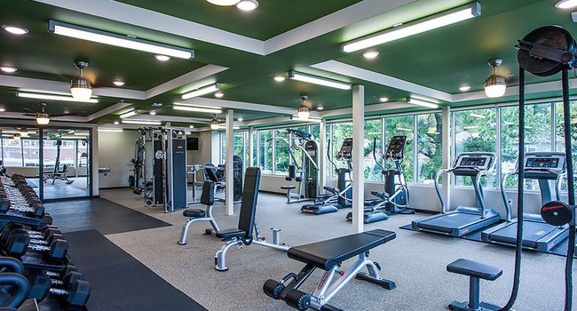 Gather Dickson - 5 Reviews | Fayetteville, AR Apartments ...