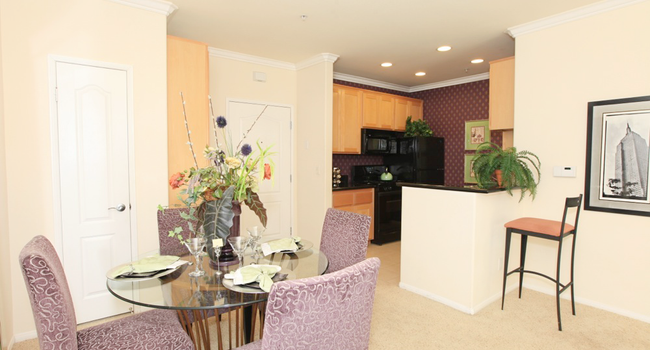 Medici 578 Reviews Los Angeles Ca Apartments For Rent