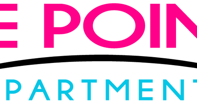 The Pointe Apartments  - Stone Mountain GA