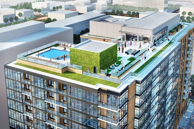 Insignia on M - 11 Reviews | Washington, DC Apartments for Rent