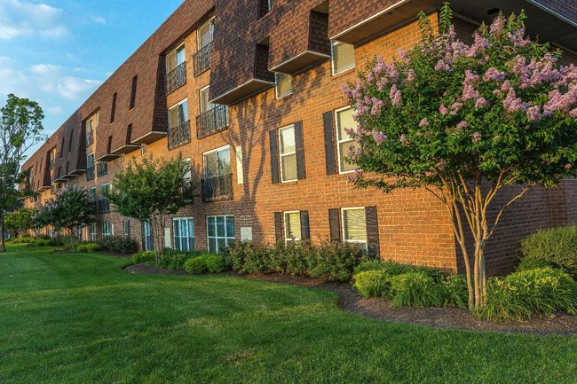 7400 Roosevelt Blvd Apartments 151 Reviews